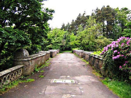 Cây[-]cầu[-]Overtoun,[-]nơi[-]xảy[-]ra[-]các[-]hành[-]động[-]tự[-]sát[-]của[-]loài[-]chó